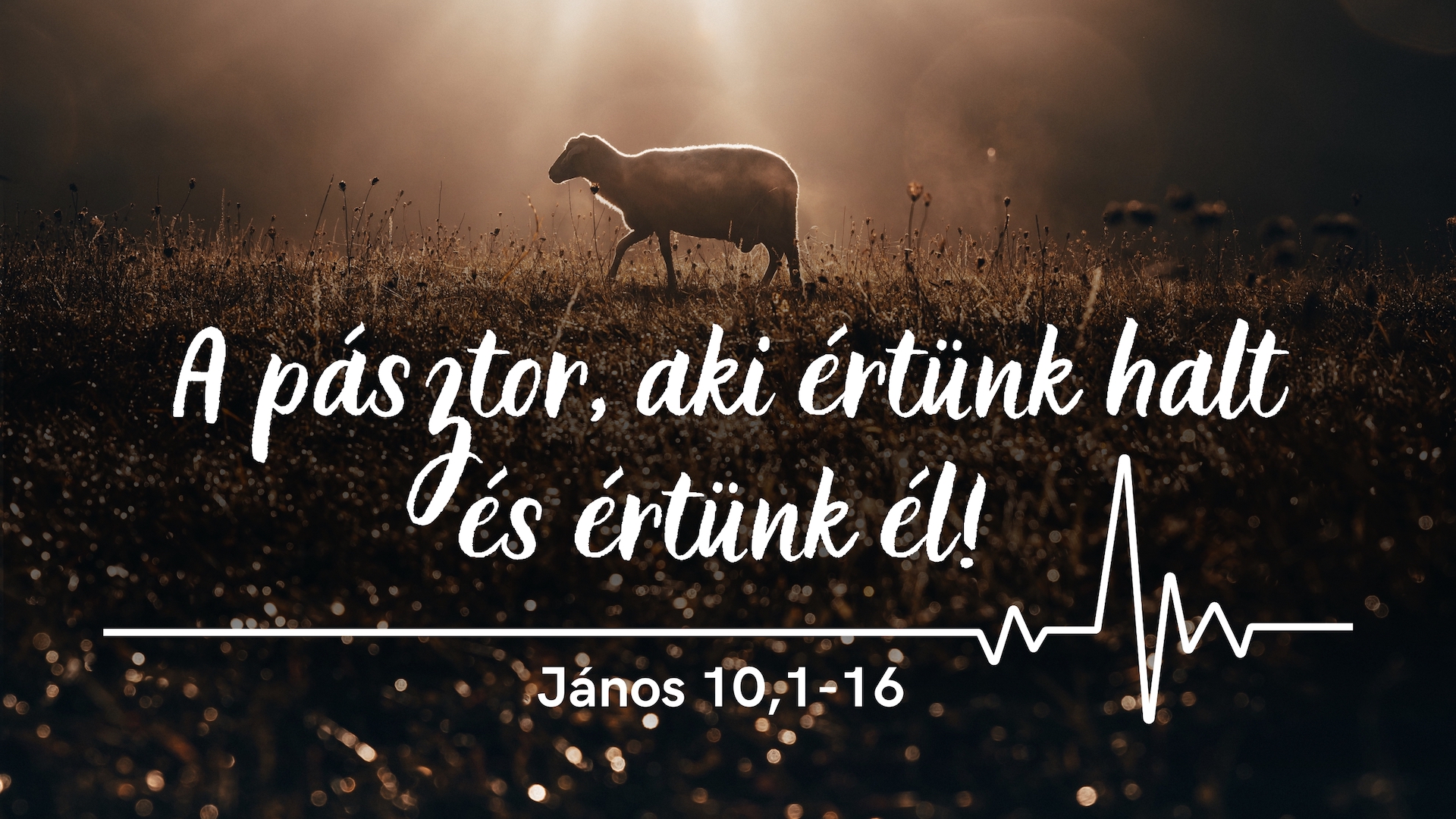 A pásztor, aki értünk halt és értünk él!