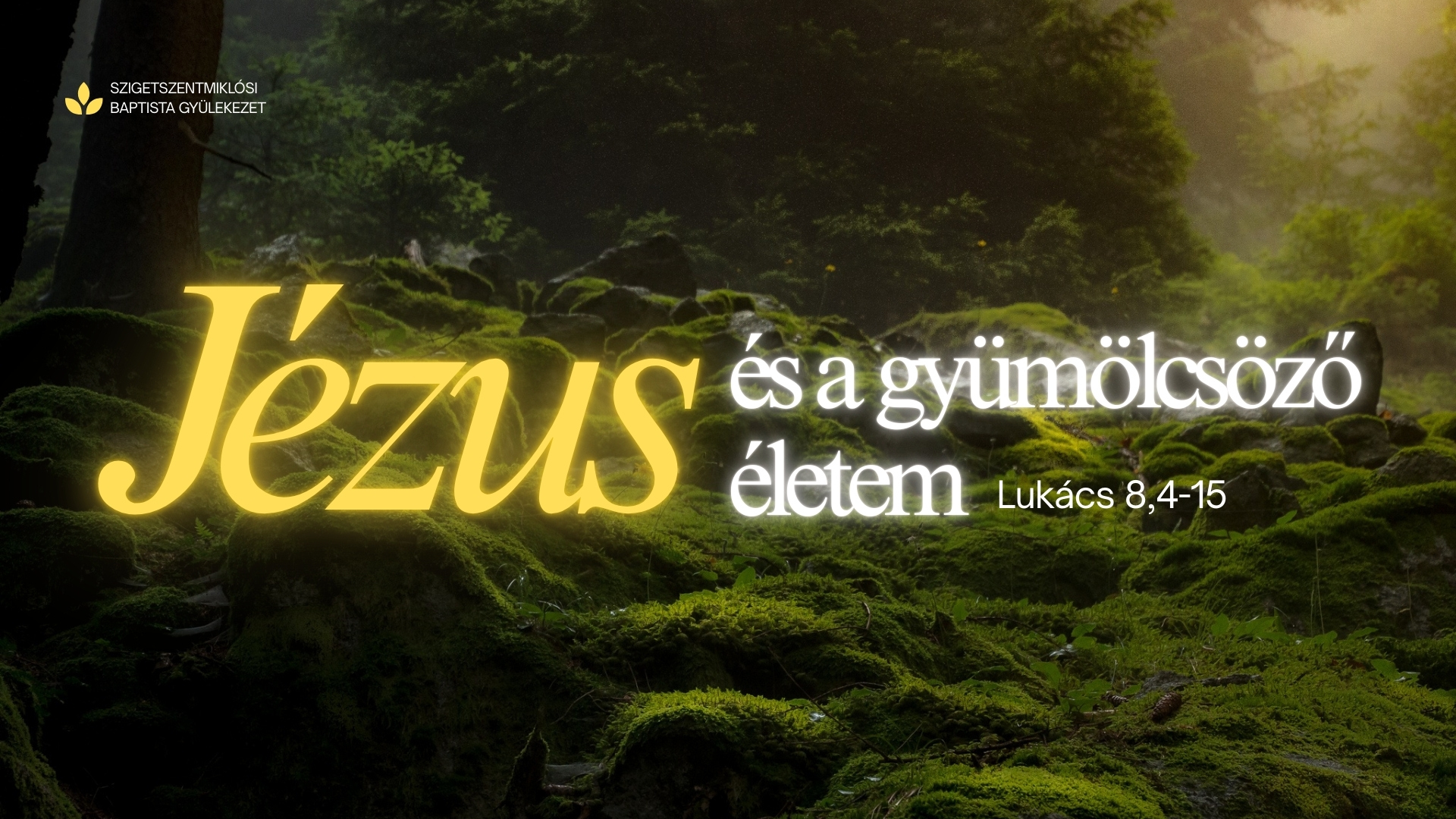 Jézus és gyümölcsöző életem